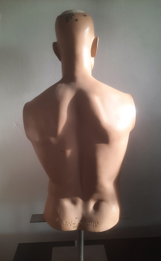 Image 1 of Torso di manichino maschile