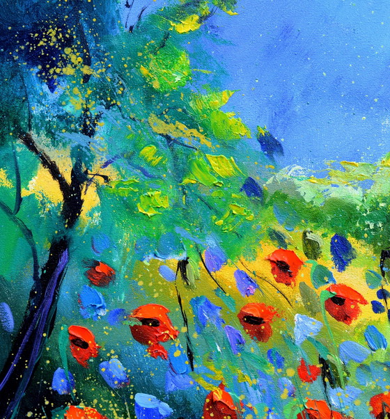 Image 1 of Red Poppies