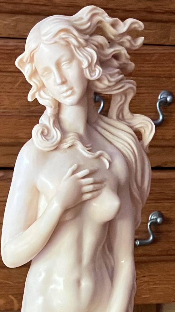 Image 1 of Hermosa escultura de gran tamaño "El nacimiento de Venus" - A. Santini (Italia) – 58 cm

