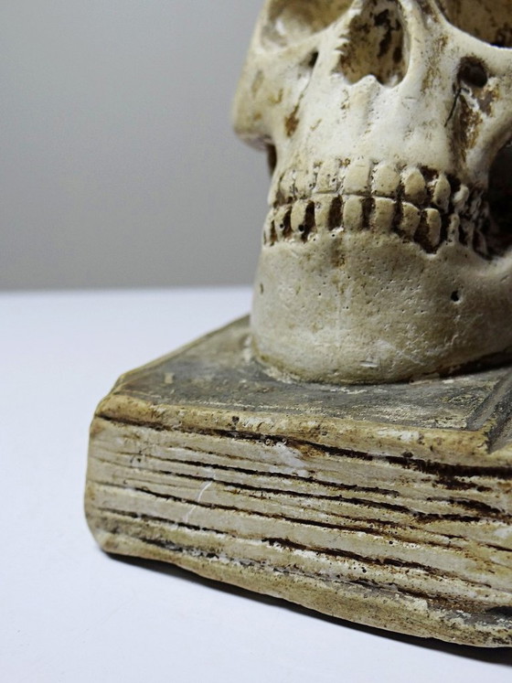 Image 1 of Ancien Memento Mori en plâtre, crâne sur livre, curiosité fin XIXe début XXe