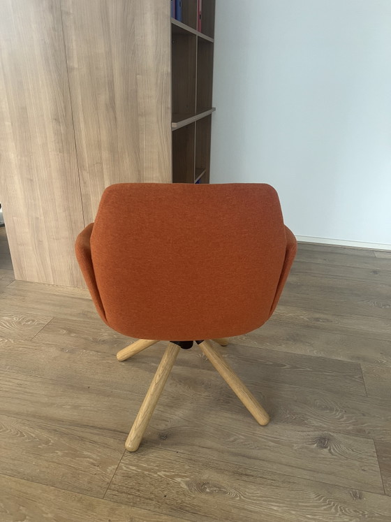 Image 1 of Haworth - Sedia Poppy - 2 pezzi