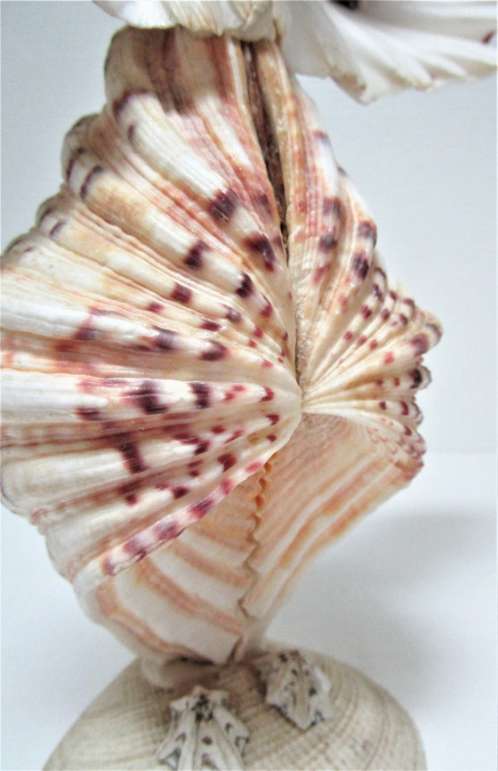 Image 1 of due gufi scultura vintage in conchiglia