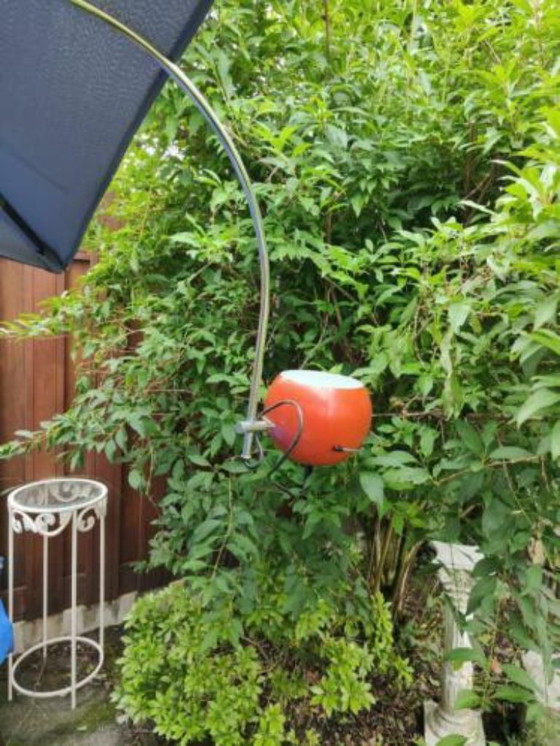 Image 1 of wall lamp by GEPO Amsterdam from the 1960s 