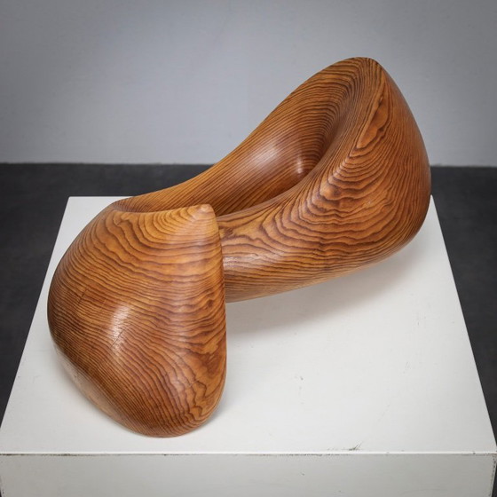 Image 1 of Flying Solo, Organic Sculptural Form by Ineke van Zuuren, 1970s