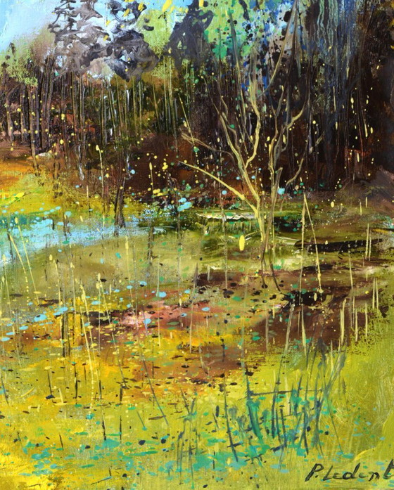 Image 1 of Spring in the wood 