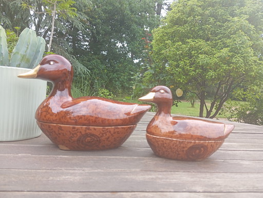 Duo canard boites plats terrine/paté faience par Michel Caugant,.1970