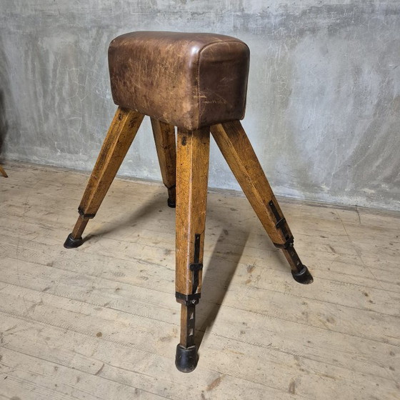 Image 1 of Vintage turnpaard, Tsjecho-Slowakije, jaren 60