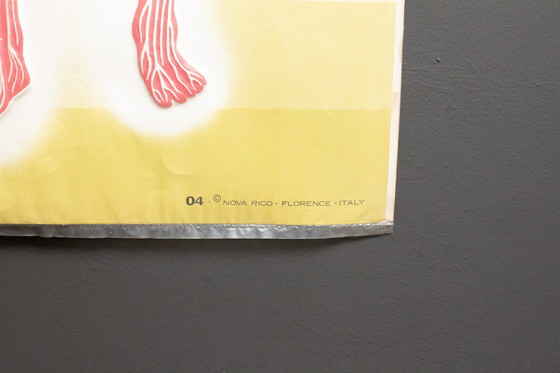 Image 1 of Reliefposters Nova Rico Florence Italy Scientific - Man