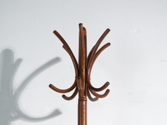 Bentwood Coat Stand in Beechwood – Austria-Hungary, Thonet Style, Circa 1900 – Coat racks, Metal (photo 12 of 36)