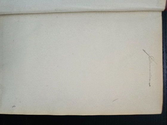 Antico set di due volumi "Schillers Werke" (circa 1910) – Dorso rosso-verde e stampa dorata (photo 5 of 17)
