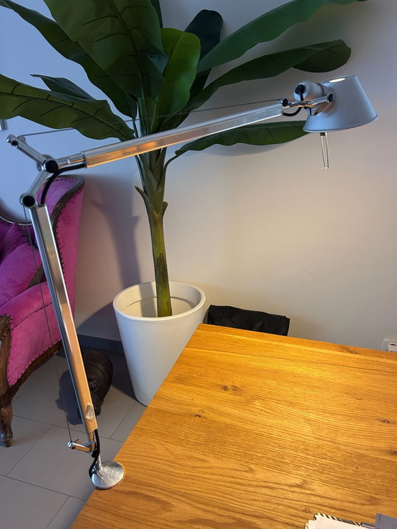 Artemide Tolomeo Tavola – Lampade da scrivania, Metallo, Alluminio (photo 5 of 5)
