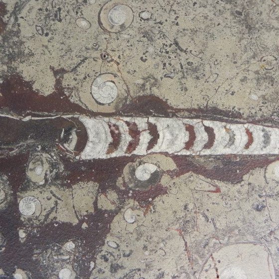 Image 1 of Table basse Ronald Schmitt 'Fossils' années 1980, 70 x 70 cm