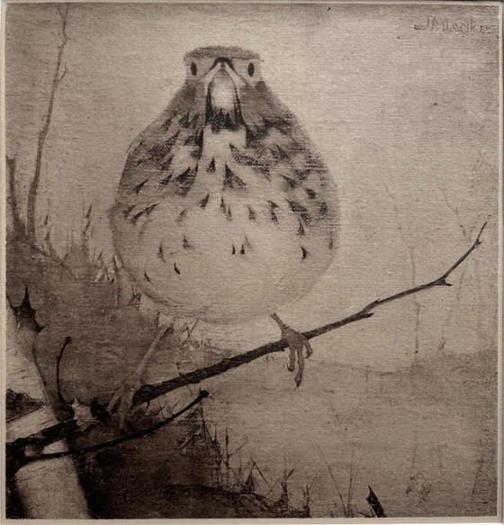 Jan Mankes 1889-1920 / Heliograbado Zorzal en rama 1923 – Litografías y grabados, Paper (photo 4 of 11)