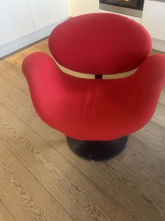 Image 1 of 4 chaises de salle à manger Artifort Filip