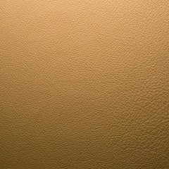 Image 1 of de Sede DS-265/01 Coco armchair