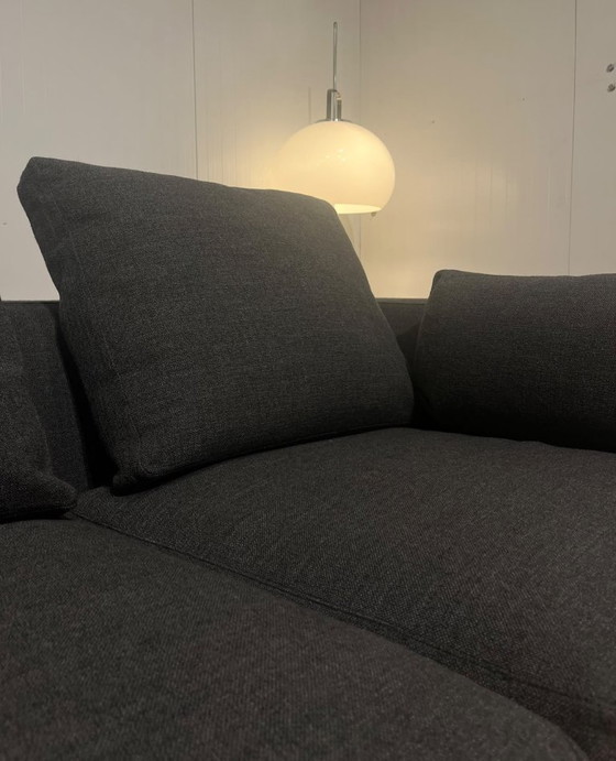 ZGAN Minotti Andersen 4-Seater Warranty – 3-5 seaters, Other (photo 6 of 9)