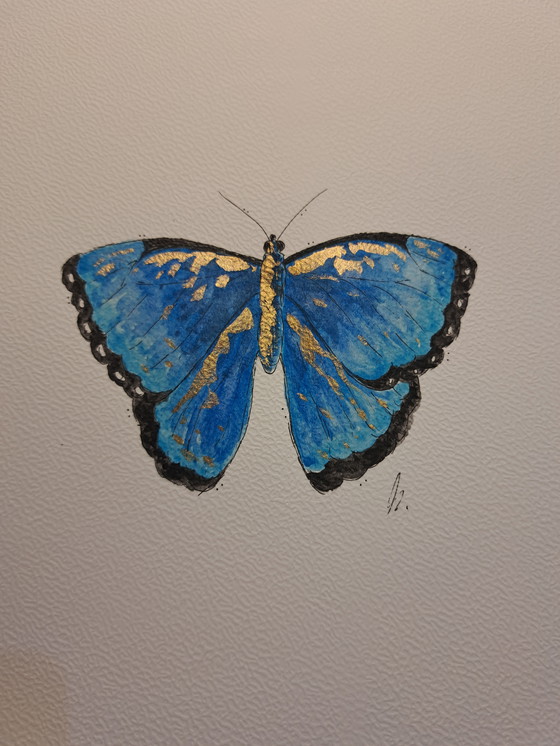 Image 1 of Pintura de acuarela Mariposa Morfo Azul | Marco dorado