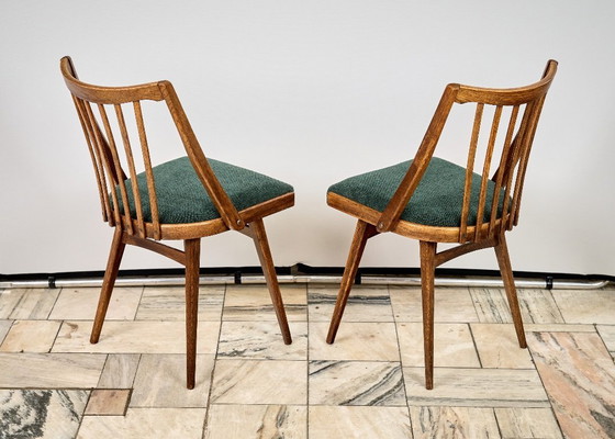 Image 1 of Set di quattro sedie in quercia di Antonín Šuman, anni '60, Cecoslovacchia