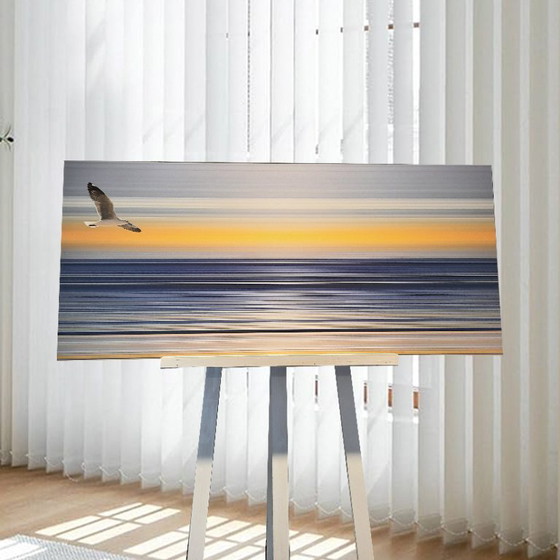 Image 1 of Sijbranda Sealines Jonathan Seagull