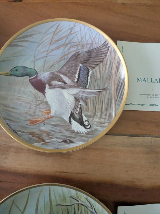 Image 1 of Basil Ede Oiseaux d'eau du monde, ensemble de 12 pièces avec système de suspension