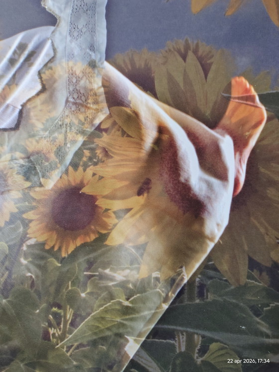 Image 1 of 2 obras fotográficas; título: girasol