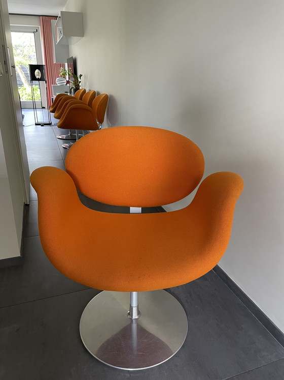 Image 1 of 4 x Tulip Artifort.