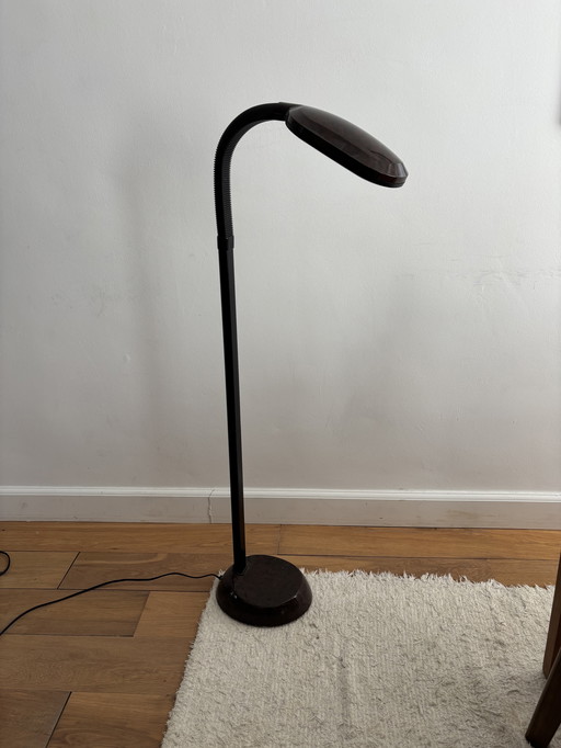 Vintage Gooseneck Postmodern Floor Lamp