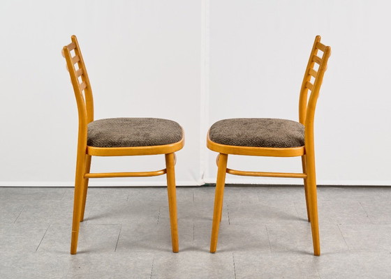 Set di 4 Sedie da pranzo, di TON, anni '60, Cecoslovacchia – Tessile, Legno (photo 10 of 20)