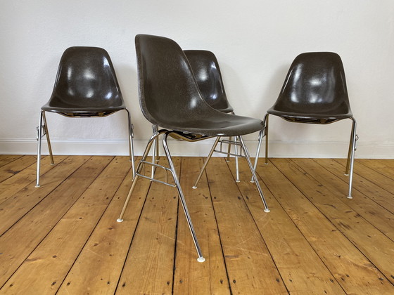 Image 1 of 4X Herman Miller Vitra Dss Fiberglas Stühle Von Charles & Ray Eames In Seal Brown