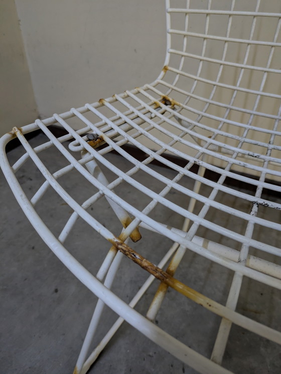 Image 1 of Chaise de salle à manger par Harry Bertoia