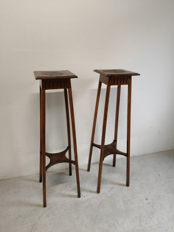 Image 1 of Mesas de plantas o estatuas de roble muy grandes y desgastadas