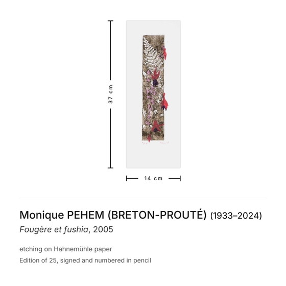 Monique Pehem (Breton-Prouté) Signed Etching Fern and Fuchsia 2005 – Lithographs & prints, Paper (photo 3 of 5)
