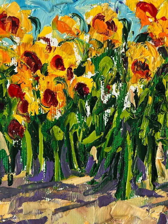 Image 1 of Sunflowers Grow in the Field