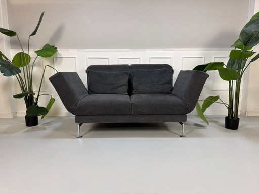 Brühl Moule Small Sofa Stoff Grau Gästebett