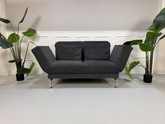 Image 1 of Brühl Moule Small Sofa Stoff Grau Gästebett