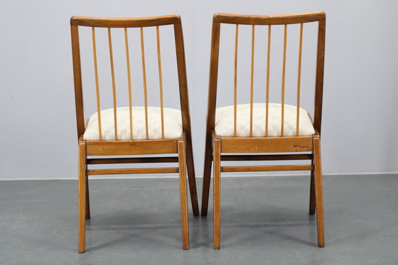 Image 1 of 1970 Ensemble de quatre chaises de salle à manger en hêtre, Allemagne de l'Ouest