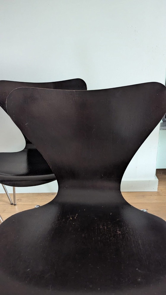 Set de 4 sillas de comedor Arne Jacobsen Serie 7 – Fritz Hansen, Wood (photo 8 of 12)