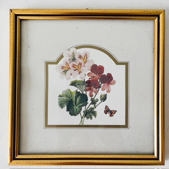 Image 1 of Ensemble de peintures vintage fleurs roses