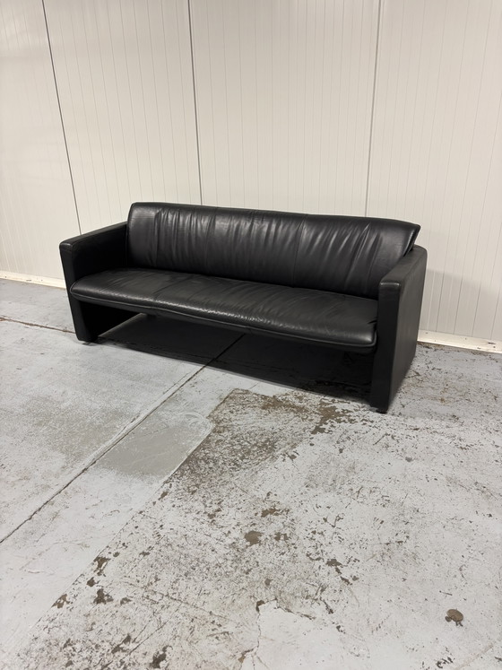 3-Sitzer Leolux Sofa – 3-5 Sitzer Sofas, Leather (photo 2 of 6)