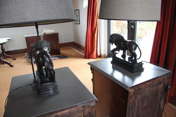 Image 1 of 2 bijzondere vintage tinkleurige tafellampen met leeuwen voet 