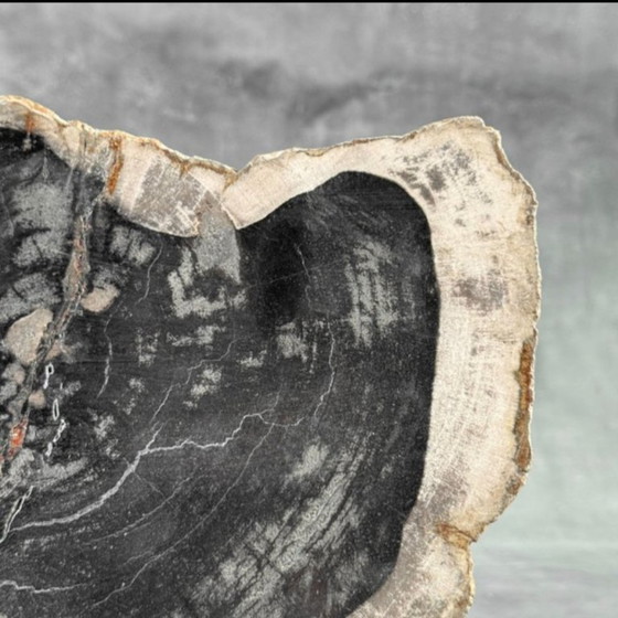 Image 1 of Bois fossilisé – Plaque en bois pétrifié avec un support sur mesure.