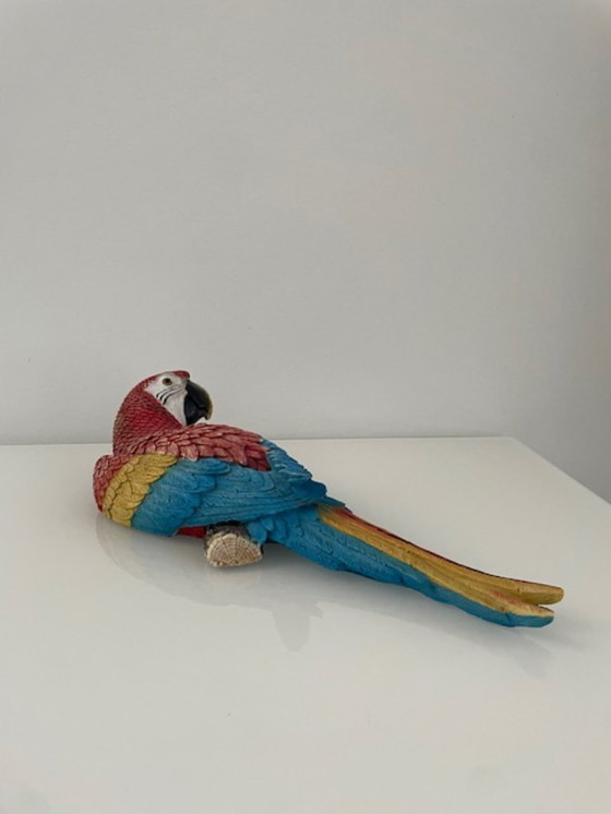 Image 1 of Wall sculpture red macaw parrot colorful design