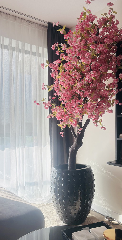 Laos Emperor XXL Vaas Met Bloesemboom