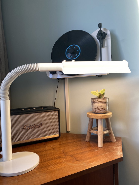 Image 1 of Lampada da scrivania Hala 1975 Design olandese