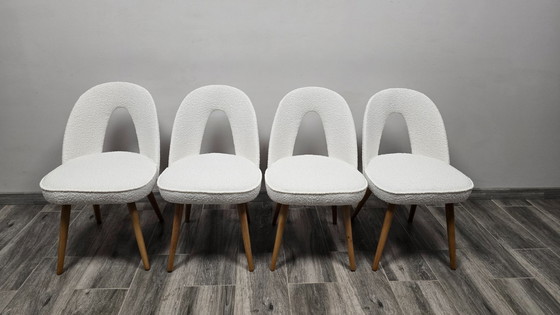 Image 1 of Eetkamerstoelen van Antonin Suman