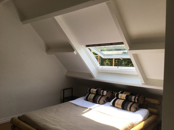 Image 1 of Bamboe bed