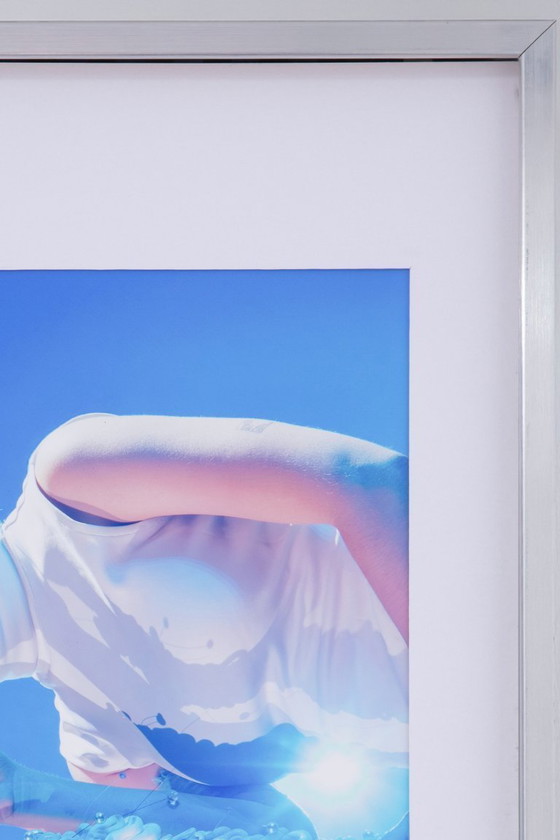 Image 1 of Pommielien Thijs Quadro d'arte 2/2