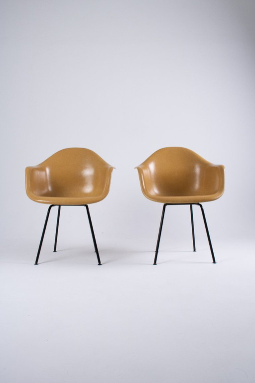 DAX Eames en fibre de verre – Light Ocre – Herman Miller / Vitra – circa 1965-1975