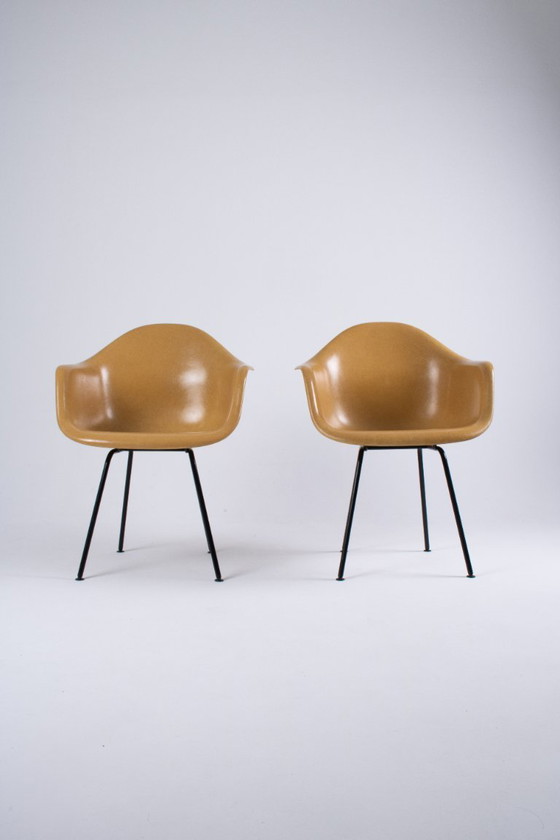 Image 1 of DAX Eames en fibre de verre – Light Ocre – Herman Miller / Vitra – circa 1965-1975