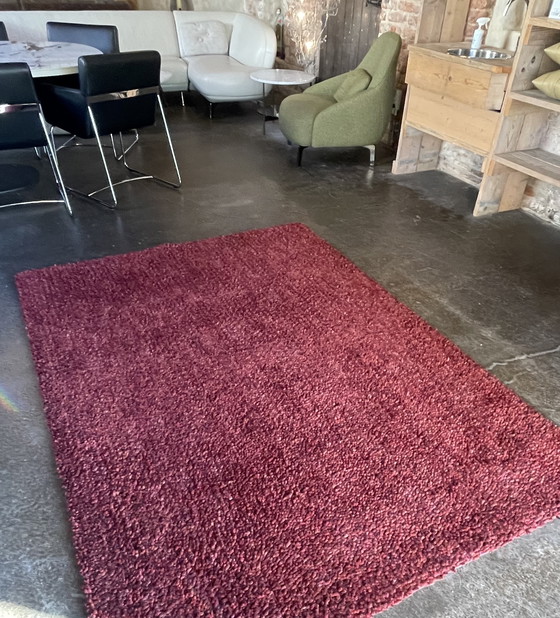 Image 1 of Rescue of carpets from Brink and Campman Dots